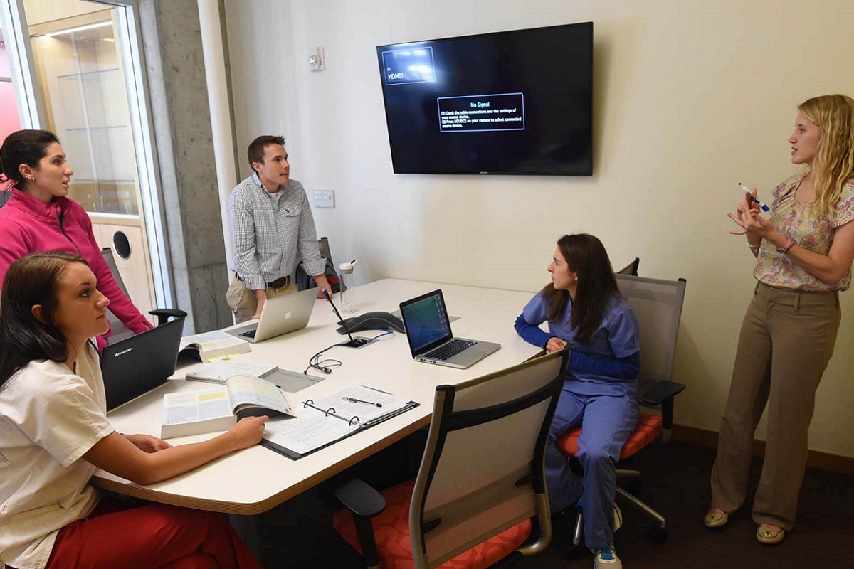 Young men and women meeting in a conference room