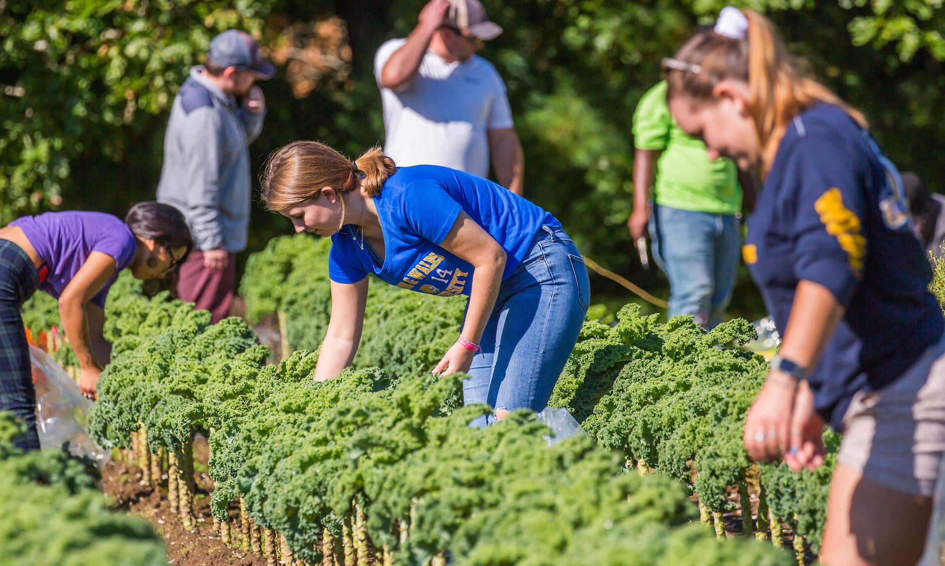 JWU Providence students working on a sustainability project at a farm.