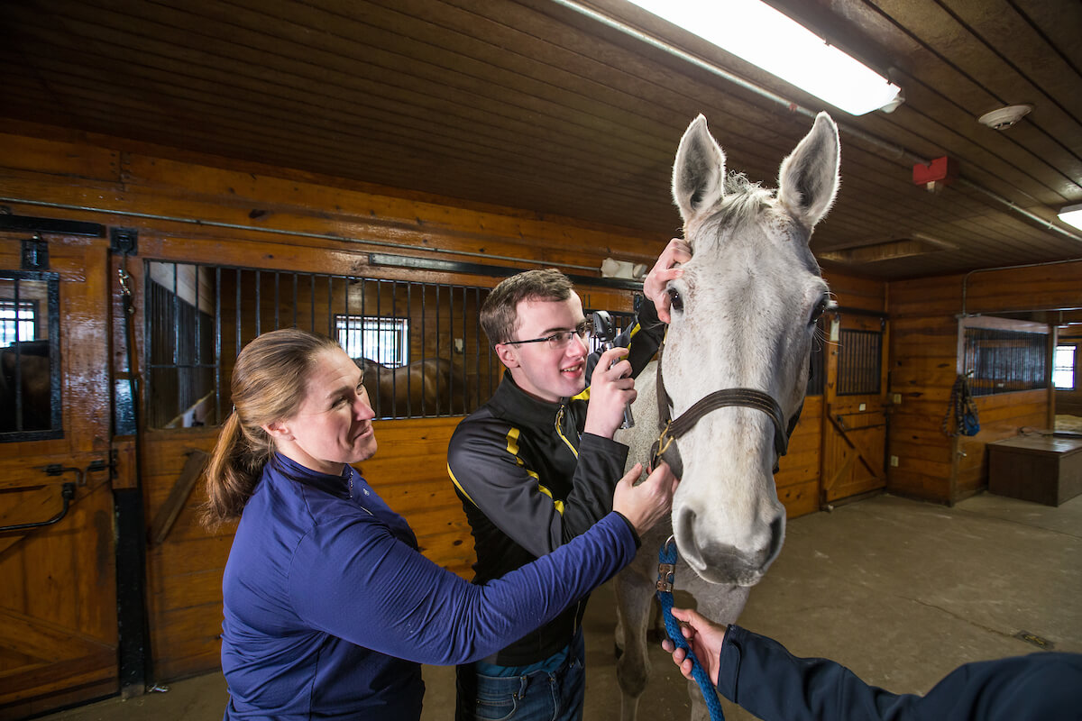 A male and female student tending to a horse in a barn