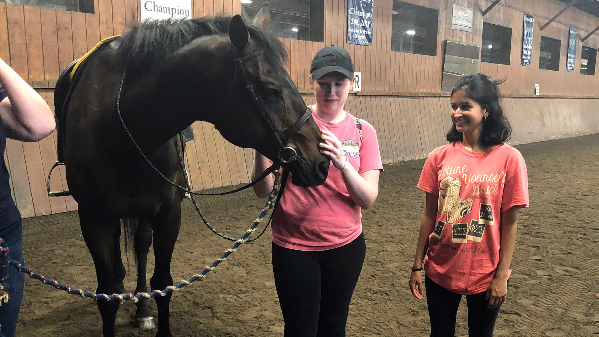 OTD students meet the horses