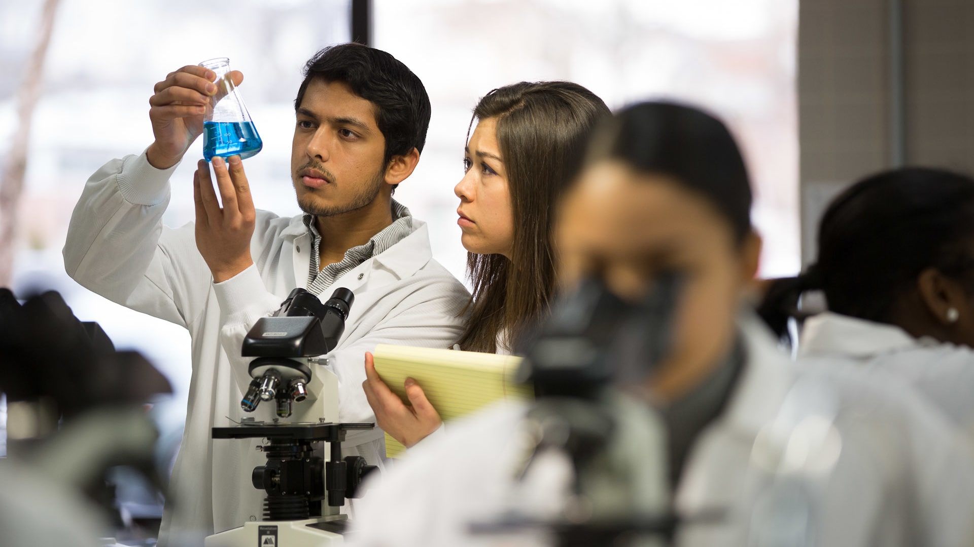 Students in a lab