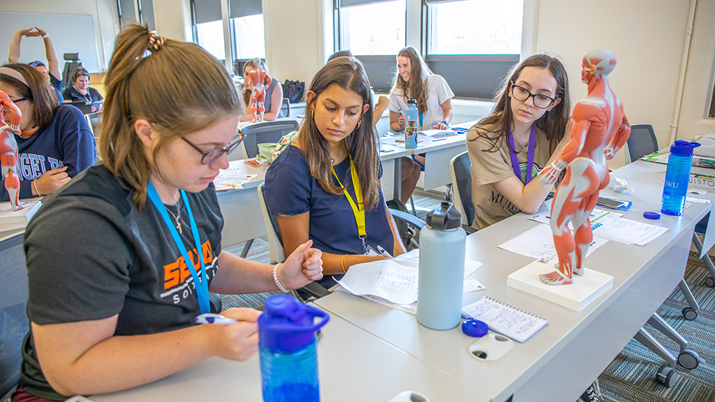 Three JWU CX students look at a worksheet while examining a model of the human muscular system